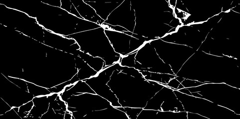 A stark, high-contrast image featuring intricate white veins sprawling across a deep, inky black background, mimicking the natural patterns found in marble or fractured glass.