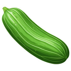 zucchini isolated on white