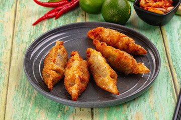 Asian fried stuffed dumplings gyoza