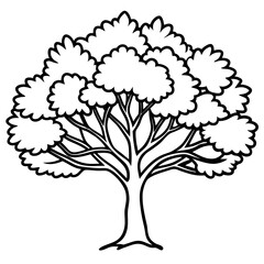Obraz premium Camphor Tree line art vector