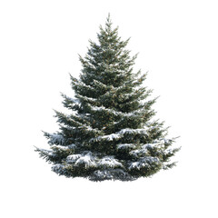 Snow-Covered Christmas Tree with Lights Isolated on White Transparent background