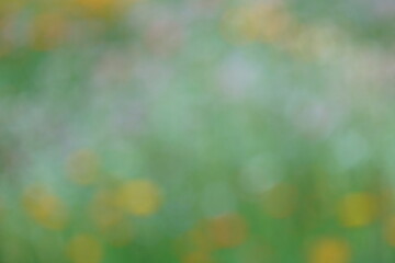 Obraz premium Pointillistische Farbtupfer als abstrakte Komposition mit weichen Verläufen