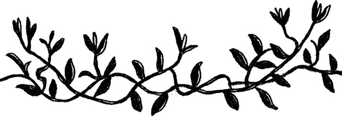 Obraz premium Hand drawn border of climbing vines and curls for decorative design