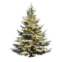 Snow-Covered Christmas Tree with Warm Lights - Isolated on White Transparent background