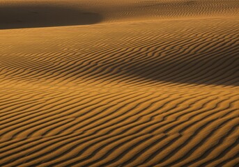 Naklejka premium Sun setting behind sand dunes.