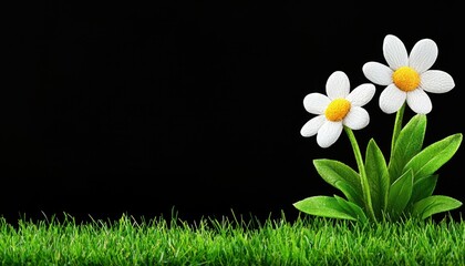 Two white crocheted daisies with yellow centers emerge from vibrant green grass against a stark black backdrop. The image is simple, clean and evokes a sense of springtime freshness.