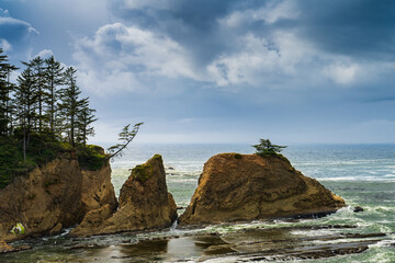 Dramatic seascape with rugged sea stacks and windswept trees along the Pacific Northwest coast under a moody sky © AnDubs