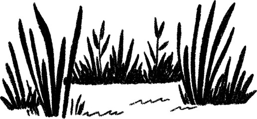 Sketch of forest clearing with tall grass