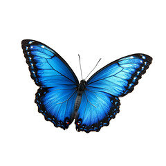 Vivid blue butterfly isolated on black background a stunning insect with intricate wing details