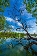 View of Turtle Tower at Hoan Kiem Lake in spring with beautiful reflection, an important historical building in Hanoi, Vietnam