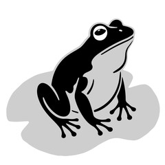 Black and white frog illustration, vector design element