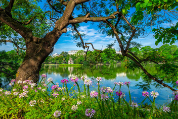 View of Turtle Tower at Hoan Kiem Lake in spring with beautiful reflection, an important historical building in Hanoi, Vietnam