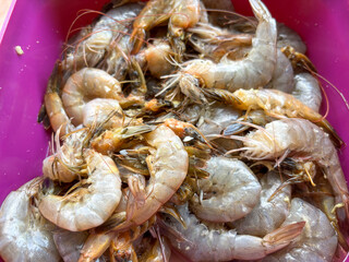 Fresh Raw Shrimp in Plastic Container Close-Up