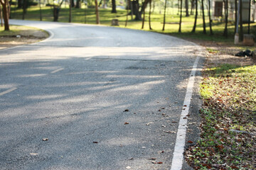 Obraz premium Country Road in Sunlight: A picturesque country road winds gently through a tranquil park-like setting, bathed in the warm light of the sun. The road's surface shows subtle textures and shadows.