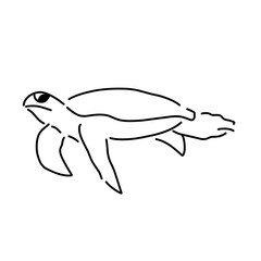 line vector turtle 