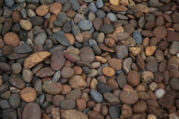 Coastal Stones: A close-up view of smooth, multicolored stones, each shaped uniquely by the relentless motion of the sea. A study in texture, color, and the patient artistry of the ocean.