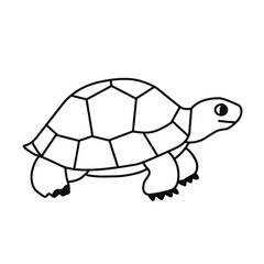 line vector turtle 