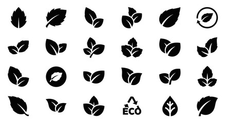 Eco Leaf Icon Set Solid Black Silhouettes of Natural Plant Symbols in Flat Vector Style