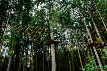 Rope obstacle track high in the trees, a rope course in an adventure park in a pine forest, climbing track in adventure park.