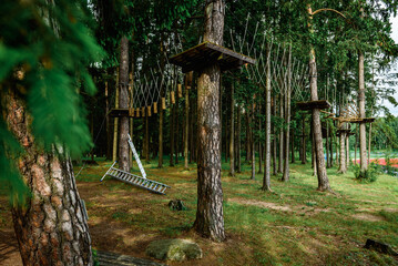 Rope obstacle track high in the trees, a rope course in an adventure park in a pine forest, climbing track in adventure park.