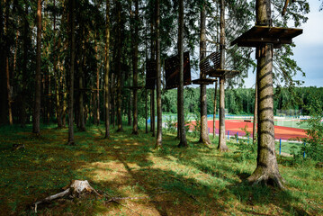 Rope obstacle track high in the trees, a rope course in an adventure park in a pine forest, climbing track in adventure park.