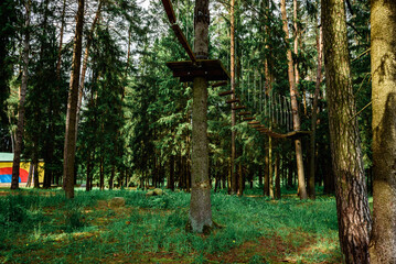 Rope obstacle track high in the trees, a rope course in an adventure park in a pine forest, climbing track in adventure park.