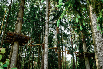 Rope obstacle track high in the trees, a rope course in an adventure park in a pine forest, climbing track in adventure park.
