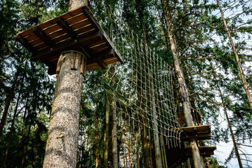 Rope obstacle track high in the trees, a rope course in an adventure park in a pine forest, climbing track in adventure park.