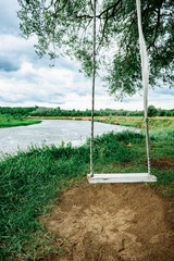 Beautiful tree with swings by the river.
