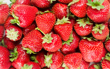 Ripe red strawberries - background. Concept of summer berry harvest. Horizontal orientation. Selective focus.