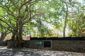 Comala