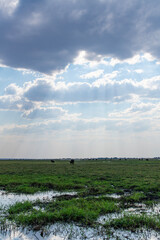 cloudscape on the grassland with sunbeams at the riverside in Chobe National Park
