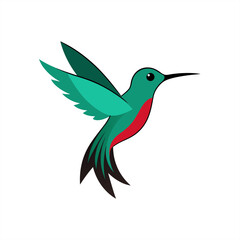 Flying hummingbird drawing vector on transparent background for web and graphic design