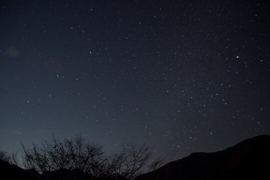 埼玉県秩父市の冬の夜、澄んだ空に広がる星空と山の稜線、木々のシルエットが織りなす静寂で幻想的な風景。自然や天体観測、癒しのイメージに最適な冬の夜空の写真素材です。