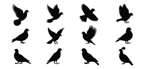 Obraz premium Silhouettes of Doves and Pigeons in Various Poses