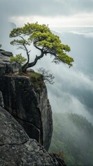 A lone tree clings to a rocky cliff edge overlooking a misty valley landscape