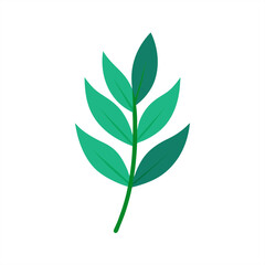Healing herb leaf drawing vector on transparent background for web and graphic design