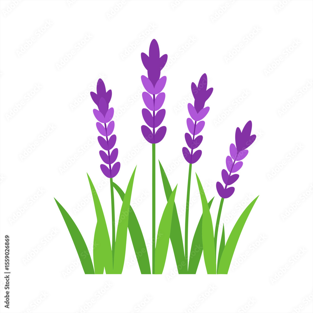 Poster herbal remedy leaf vector art on transparent background for web and graphic design