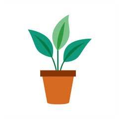 Fototapeta premium Indoor plant vector illustration on transparent background for web and graphic design