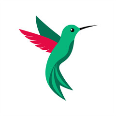 Hummingbird vector illustration on transparent background for web and graphic design