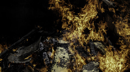 Forest burned with flames