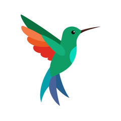 Small bird hummingbird vector graphic on transparent background for web and graphic design