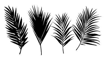 Obraz premium Black palm leaves arranged on a isolated white background. Natural palm leaf shadows isolated on white background. Tropical leaf silhouettes on transparent background for design and decoration.