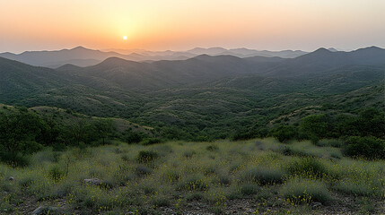 Hazy Sunset Over Rolling Green Hills and Wildflowers in a Mounta