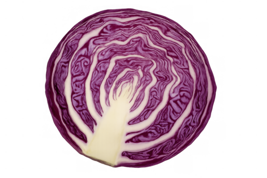 Cross section revealing vibrant purple-white concentric circles of fresh red cabbage against transparent backdrop
