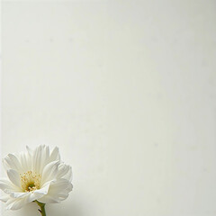 white flowers on paper