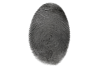 Unique Fingerprint Identity Swirl Pattern Black White Detailed High Resolution Scan Image Graphic Design Element Digital Art Abstract Background Texture body mark human lines macro vector privacy     