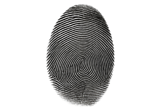 Unique Fingerprint Identity Swirl Pattern Black White Detailed High Resolution Scan Image Graphic Design Element Digital Art Abstract Background Texture body mark human lines macro vector privacy      - Powered by Adobe