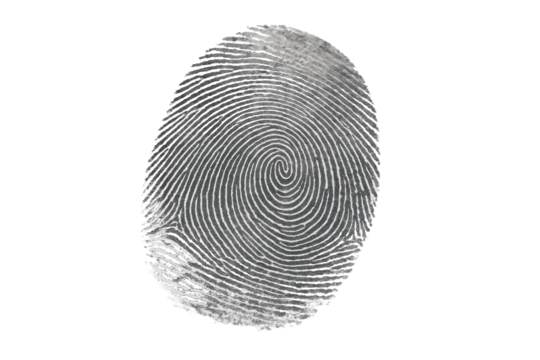 High Resolution Fingerprint Scan Detailed Whirl Pattern Gray Scale Monochrome Identity Security Biometric Authentication Technology Digital Forensic Science Criminal Investigation Detailed Texture    