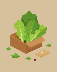 A box of fresh lettuce leaves lays wilted and brown on the floor never making it to a customers plate.. Vector illustration